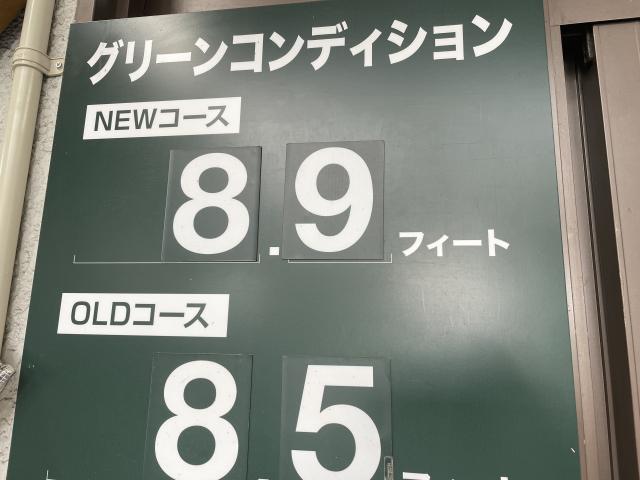 グリーンコンディション.jpeg