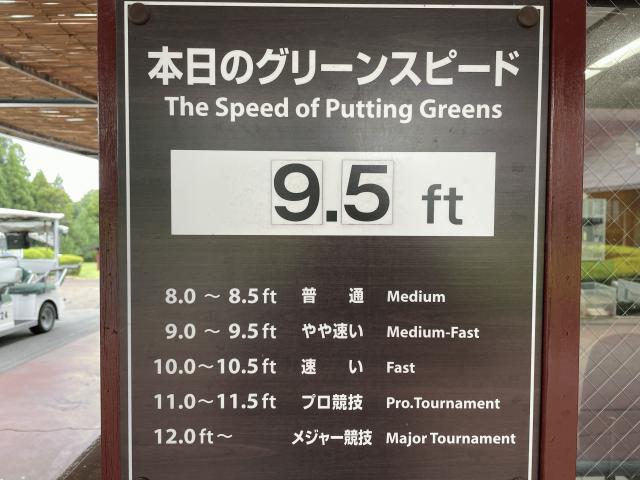 グリーンコンディション.jpeg