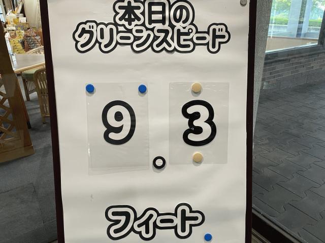 グリーンコンディション.jpeg