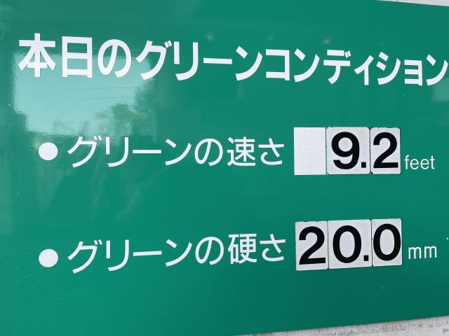 グリーンコンディション.jpeg